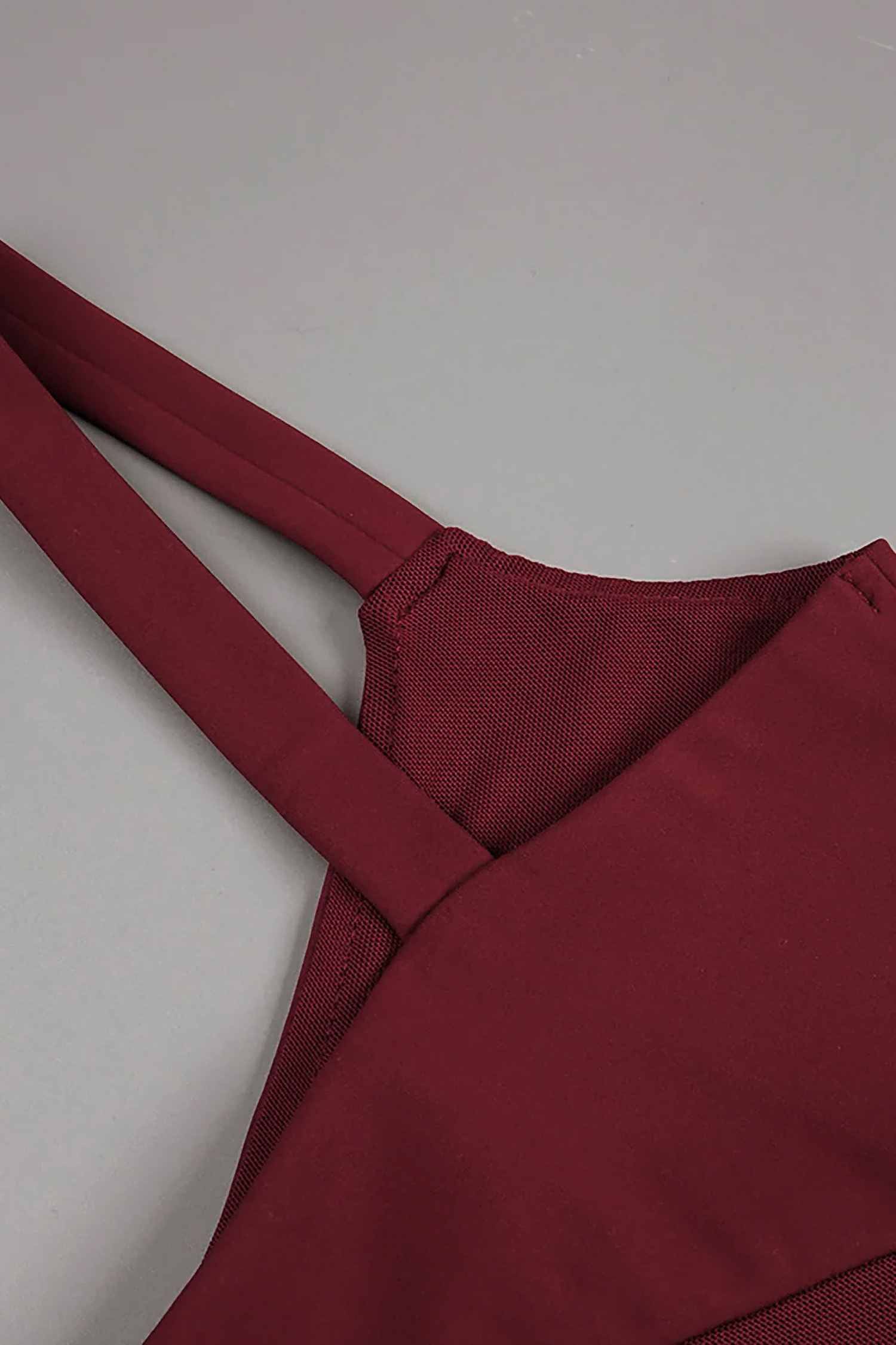 Burgundy Mesh Panel Sleeveless Maxi Dress Dress